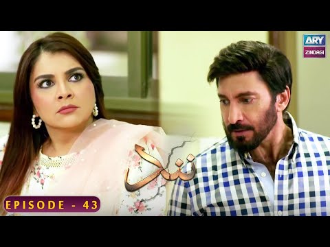 Nand - Episode 43 - Shehroz Sabzwari - Minal Khan - ARY Zindagi Drama
