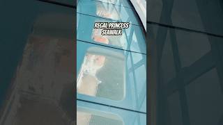 Would You Do This? Regal Princess Seawalk #seawalk #princesscruiseship #regalprincess #shorts