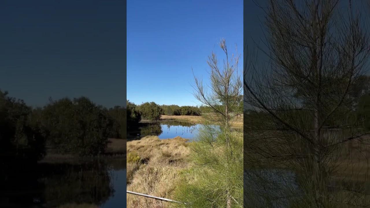 YouTube Short thumbnail