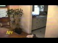 AFV Look Back 2000 2004