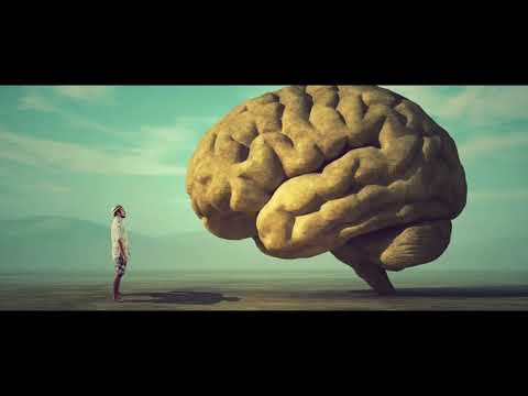 Tagesdosis 08.05.2019 - Endlich: CO2 Steuer verspricht Klimaverbesserung (kV)