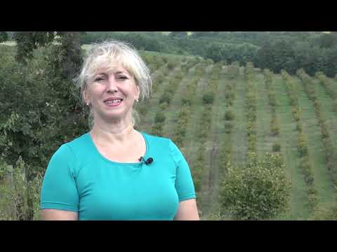 Naša priča ep. 161 21.09.2018. - Proizvodnja lešnika - selo Crni Kao, Batočina