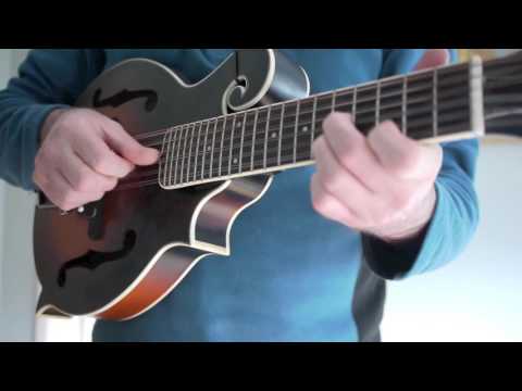 gold tone f12 mandolin guitar