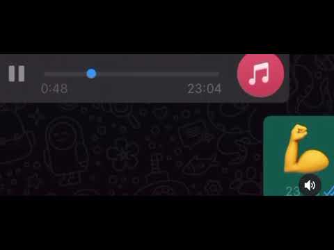 HAMMAD361 Support 🤝