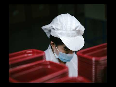 Milei Shock Escuela Austriaca