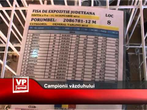 Campionii văzduhului