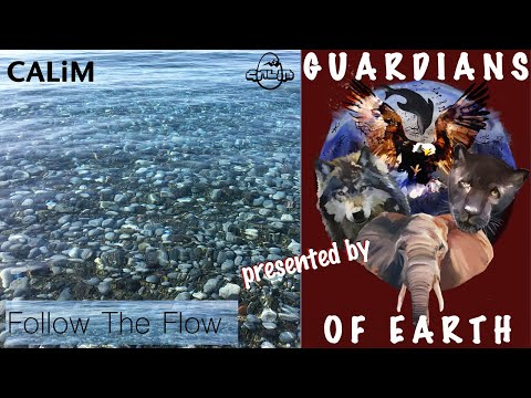 Christoph CALiM - "Follow the Flow" (Official Music Video)