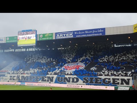 FC Hansa Rostock vs Chemnitzer FC/ 14.02.2019/Choreo, Hymne, Support/ 4K