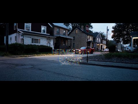 Hermes Bully - Boss Life