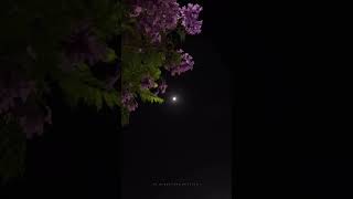 Download lagu Havoc Brothers Kadhalan Song WhatsApp status🥹🫶 Kadhali pogatha #havocbrotherssong mp3