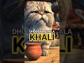 Billi Or Dadi Ki Kahani Kahanibaz Cat And Grandmother Story Ai Animated Viral Reels