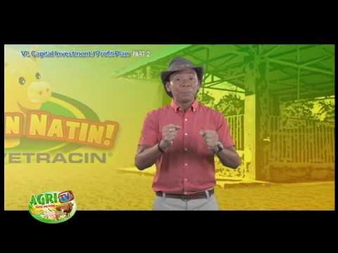 Pancreatin maaari itong maging upang mawala ang timbang Ay posible na mawalan ng timbang ay hindi pagpapawis