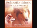 05 - Violet Contemplation.wmv