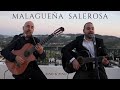 PINO PINO Malagueña Salerosa