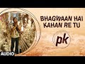 'Bhagwan Hai Kahan Re Tu' FULL AUDIO Song ...