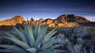 Unknown Big Bend National Park