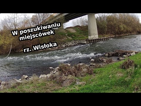 W POSZUKIWANIU NOWYCH MIEJSCÓWEK // WISŁOKA w MIELCU // LETNIE I ZIMOWE MIEJSCA