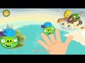 BAD PIGGIES Finger Family Nursery Songs By MY FINGER FAMILY RHYMES