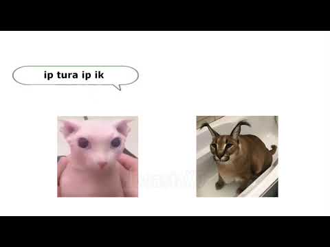 Bingus vs Floppa (Rap Battle)🥶