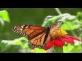 The Miracle Of Transformation The Spoken Word