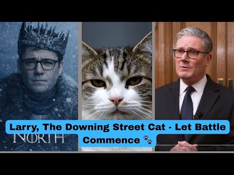 Larry, The Downing Street Cat -  Let Battle commence 🐾
