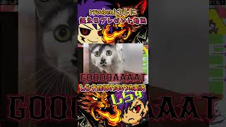 Twitchフォトナ配信者のりょうべにさん @ryoubeni3369 へ誕生日プレゼント動画作成。#deathmetal #hardcore#動画作成#fortnite  #udio  #cat#猫
