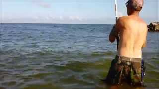 Surf Fishing In Hardhead City