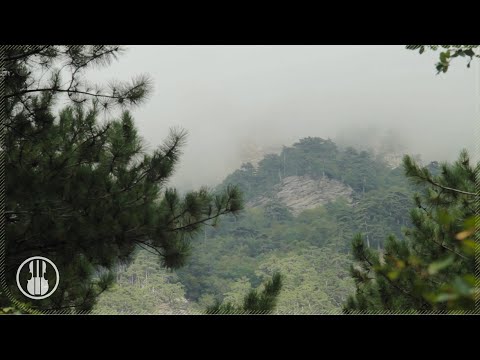 Ein nebliger Blick auf die Berge. Umgebungsmusik und Naturgeräusche für Meditation und Entspannung.