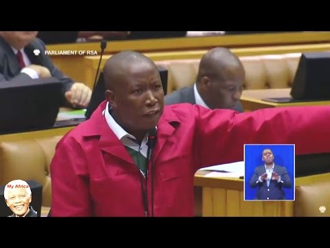 Julius Malema "We Cant Allow Zuma To Speak In Parliament"