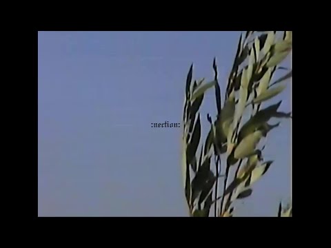 [Free] Bones + lyson + killedmyself type beat - "Everlast"