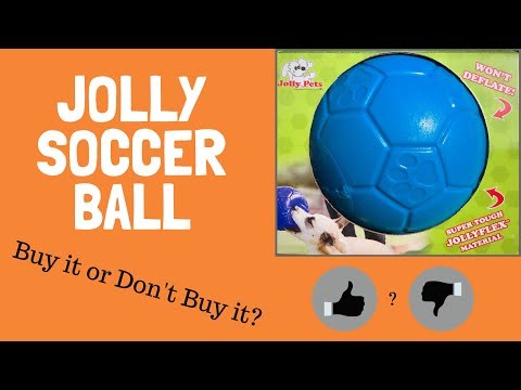 download lagu mp3 mp4 Jolly Pets Jolly Soccer Ball Dog Toy, download lagu Jolly Pets Jolly Soccer Ball Dog Toy gratis, unduh video klip Jolly Pets Jolly Soccer Ball Dog Toy