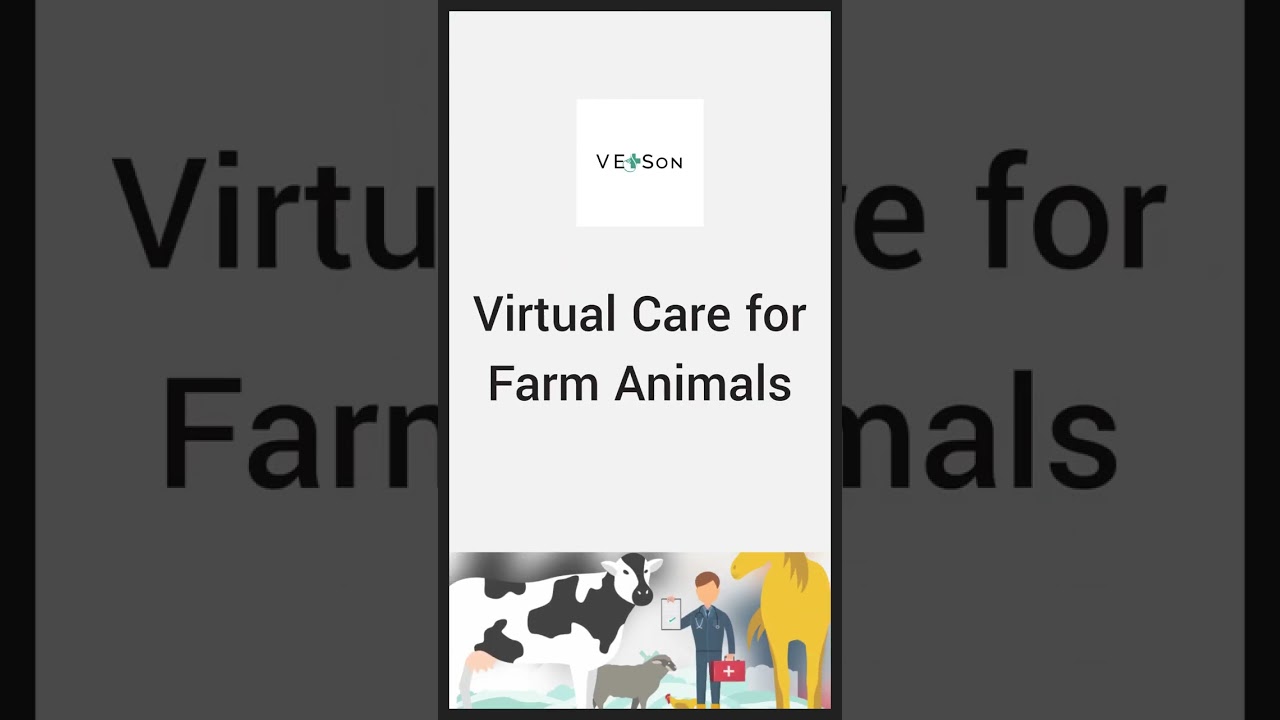 How much does a shelter vet make? Tipseri