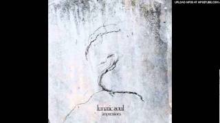 Lunatic Soul - Summerland (Remix)