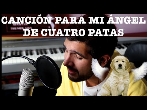 Canción Para Las Mascotas Que Ya No Están Parte 2 - Martín Tremolada