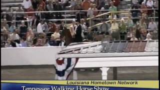preview picture of video 'Louisiana Hosts Tennessee Walking Horse Show'