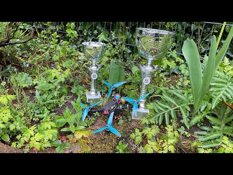 Aircrasher DCS Aichtal | 1st Place + TQ + fastest lap + MultiGP 1st Place