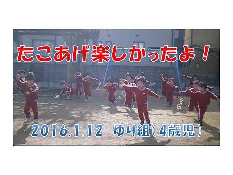 はちまん保育園（福井市）ゆり組（4歳児年中）が園庭でたこあげを楽しみました。2016年1月撮影