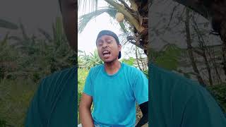 Download lagu wong ki nek apek #lucu #hiburanlucu #dagelanjowo mp3