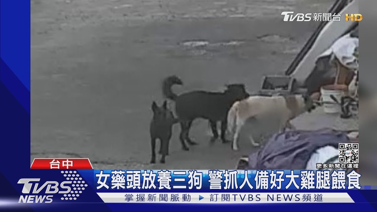 女藥頭放養三狗　警抓人備好大雞腿餵食