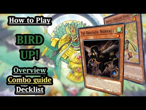 How to Play Bird Up! (Tri-Brigade Lyrilusc) - Overview, combo guide and decklist!