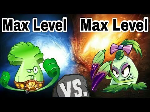 Bonk Choy Max Level Vs Pokra Max Level Vs Zombies.