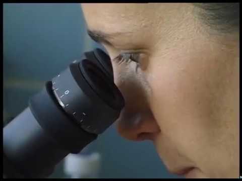 Jaaukanigás, gente del agua