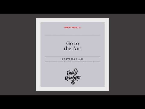 Go to the Ant - Daily Devotion