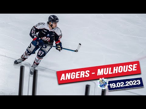 ⏯ | 𝗛𝗶𝗴𝗵𝗹𝗶𝗴𝗵𝘁𝘀 - 19.02.2023 Les Ducs d'Angers 🆚 Les Scorpions de Mulhouse