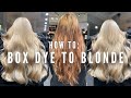 Hair Disaster! Transforming Box dye to Blonde in one appointment with no breakage - tutorial