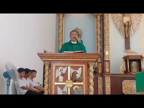 Fr. Ciano's Homily: "Ang Buotang Solugoon... Makalipay."