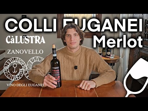 MERLOT COLLI EUGANEI: BELLA SCOPERTA 🍷👀🔝