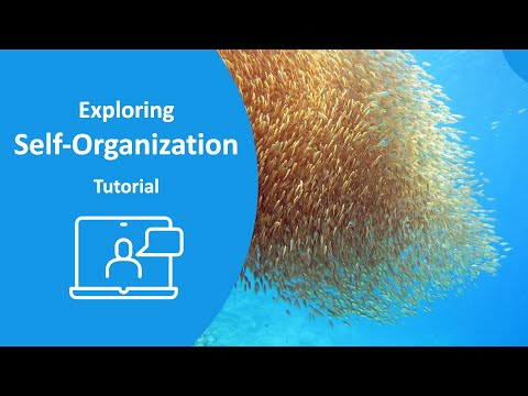 Self-Organization Tutorial