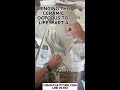 Satisfying Octopus Progress Eyes And Legs Part 4