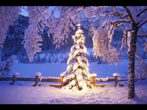 Das große 2Lhr Weihnachts Event 2015 - Mit Gedichten, Gesang und Tanz